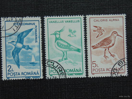 Румыния 1991г. Птицы.