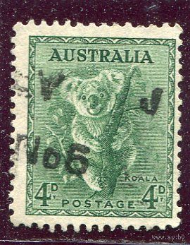 Австралия. Стандарт. Фауна. Коала