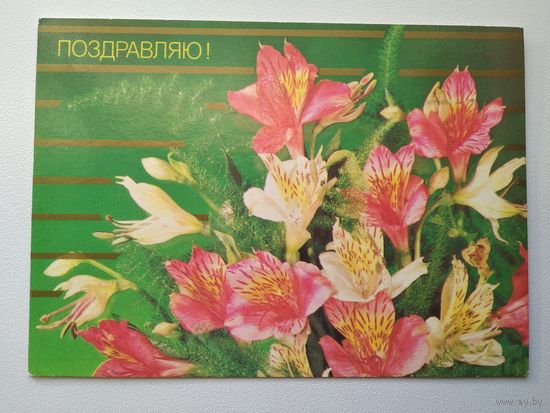 Открытка Поздравляю! Фото И. Дергилева 1987 год.