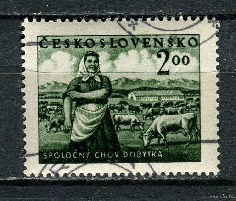 Чехословацкая Социалистическая Республика - 1951 - Сельское хозяйство 2Кс - [Mi.656] - 1 марка. Гашеная.  (Лот 57Gс)-T2P2
