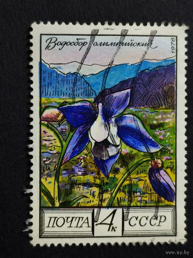 1976 СССР. Цветы Кавказа. Водосбор олимпийский