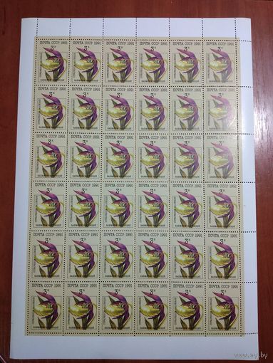 СССР 1991 БАШМАЧОК НАСТОЯЩИЙ