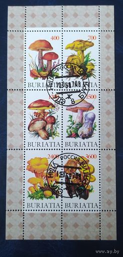 BURIATIA 1997 Грибы