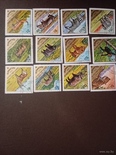 Гвинея 2 серии