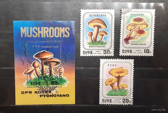 Корея. 1987 год. Флора. Грибы (980)