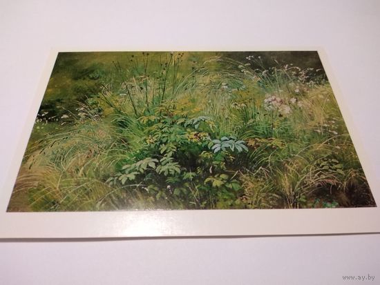 Открытка. И. И. Шишкин Травки