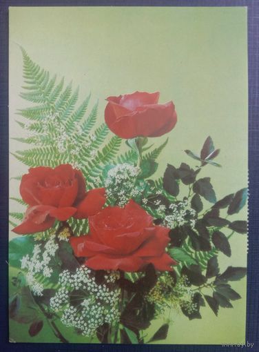 Открытка СССР 1991 Розы Фото Дергилева Чистая
