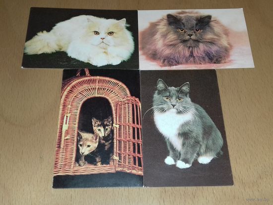Календарики 1989 Кошки. Коты. 4 шт. одним лотом