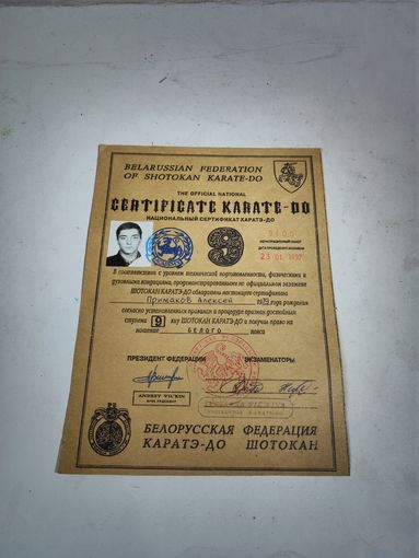 Сертификат по каратэ с погоней.