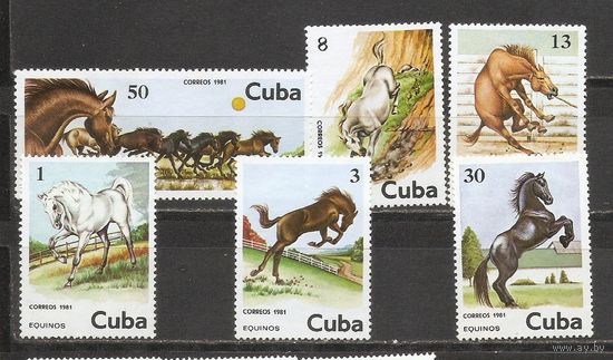 ФФ1 Куба 1981 Лошади