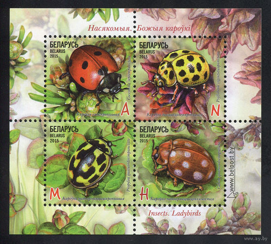 2015_Божие коровки.