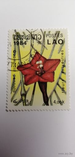 Лаос 1984. Цветы