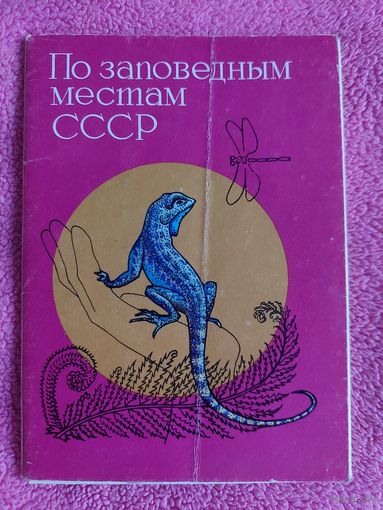 Набор открыток