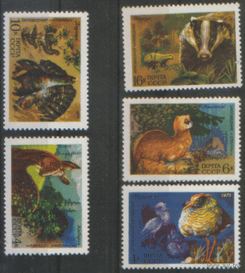 Заг. 4445/49. 1975. Фауна СССР. ЧиСт.