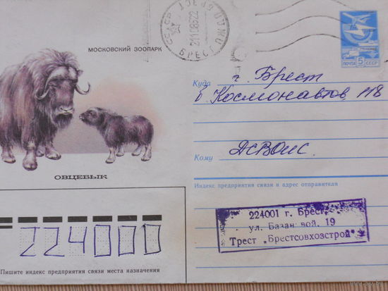 ХМК прошедший почту 1985г."МОСКОВСКИЙ ЗООПАРК. ОВЦЕБЫК"