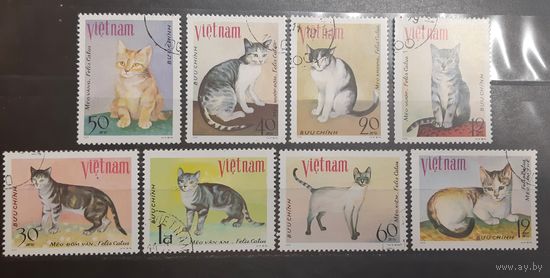 Вьетнам. 1979 год. Фауна. Кошки (731)