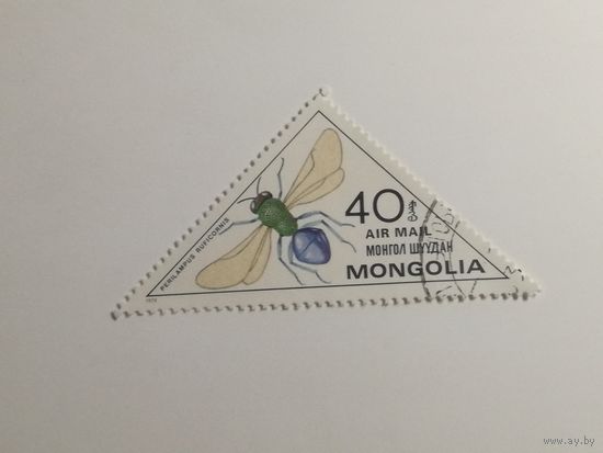 Монголия 1980. Насекомые