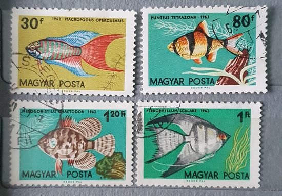 Венгрия рыбы 4шт