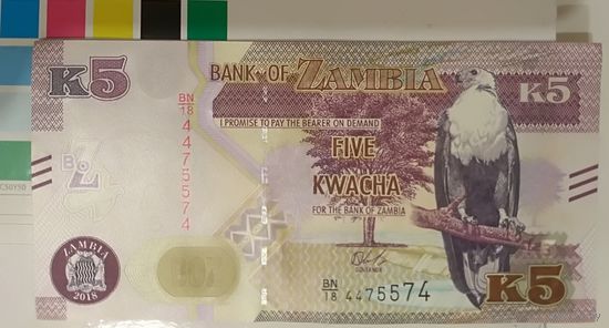 Замбия 5 квача 2018BN