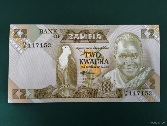 2 квача Замбия.