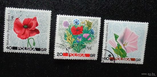 Цветы. Польша. Дата выпуска: 1967-09-05