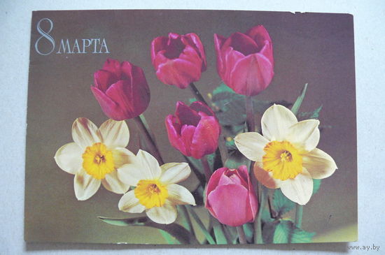 Круцко Б., 8 Марта; 1982, подписана.