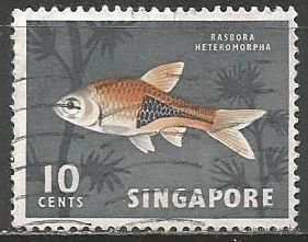 Сингапур. Рыбы. Росбара клинопятнистая. 1962г. Mi#59.