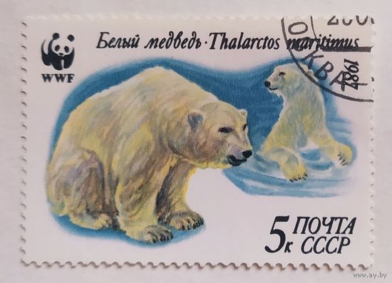СССР 1987, Белый медведь.