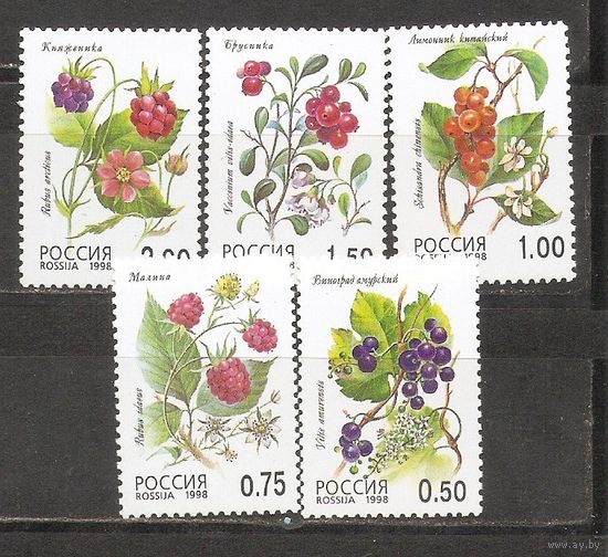 ФФ1 Россия 1998 Цветы