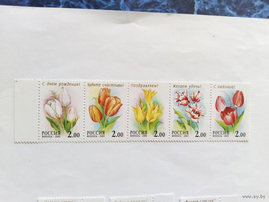 Россия  2001  5 м  сц.