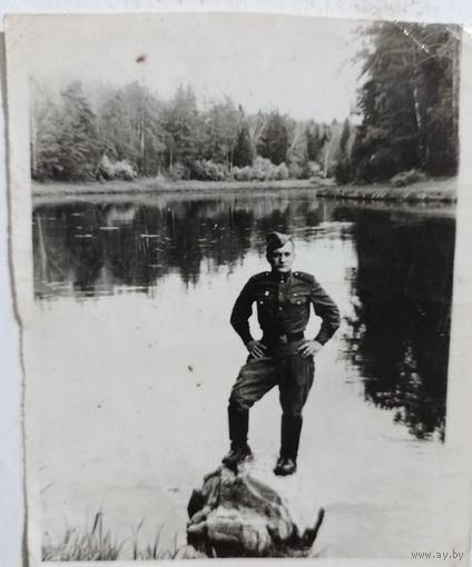 Фото в коллекцию