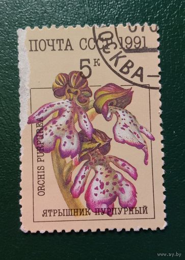 Марка СССР 1991 Орхидеи