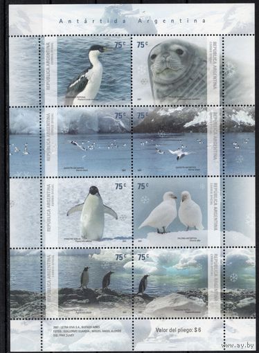 Аргентина 2007. Фауна. Птицы пингвин тюлень. Малый лист 3118