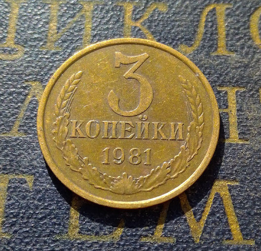 3 копейки 1981 СССР #19