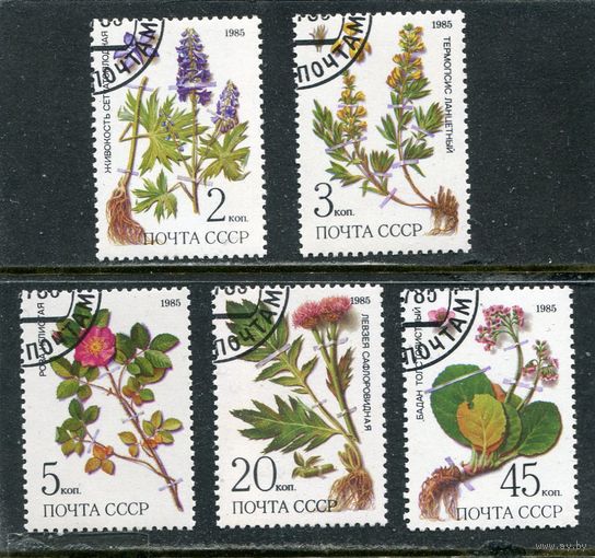 СССР 1985. Флора. Лекарственные растения