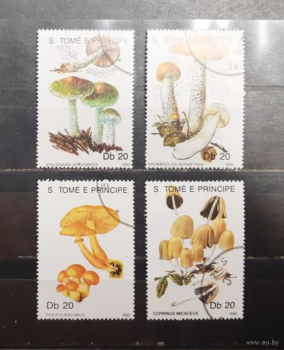 Сен Томе и Принсипи. 1990 год. Флора. Грибы (982)