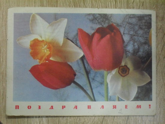 ПОДПИСАННАЯ ОТКРЫТКА СССР. "ПОЗДРАВЛЯЕМ" ФОТО. П. СМОЛЯКОВА. 1968 ГОД.
