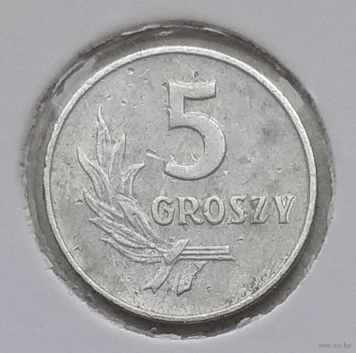 Польша 5 грошей 1959 г. В холдере
