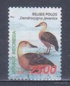 [737] Индонезия 1998. Фауна.Птицы.Утки.2500р. Гашеная марка.
