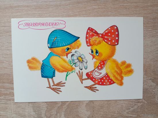 Макарова 1991 чистая