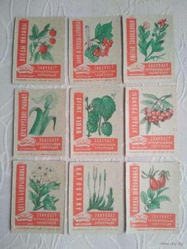 Спичечные этикетки ф. 1 Мая. Закупает потребительская кооперация.1962 год