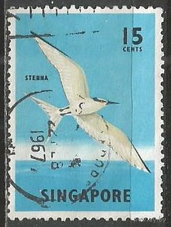 Сингапур. Птицы. Светлая крачка. 1966г. Mi#61.