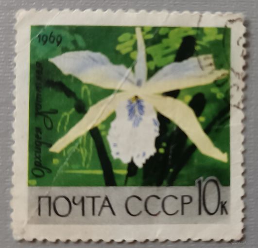 СССР,1969.Орхидея Каттлея.