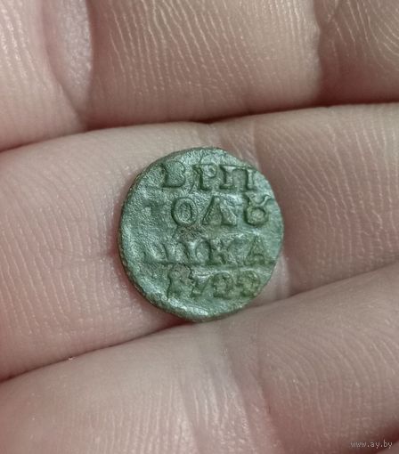 Полушка 1722 г красивая