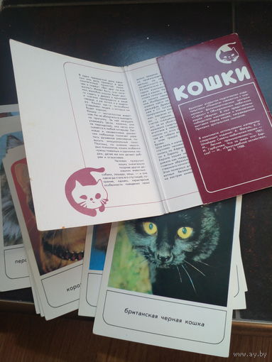 Кошки. Набор открыток. 1988 г. 18 шт.