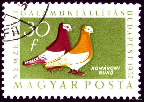 Международная выставка голубей Венгрия 1957 год 1 марка
