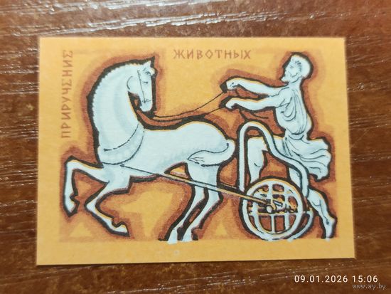 Спичечная этикетка Приручение животных
