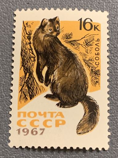 СССР 1967. Фауна. Соболь