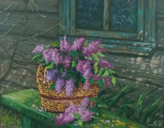 Сирень на даче