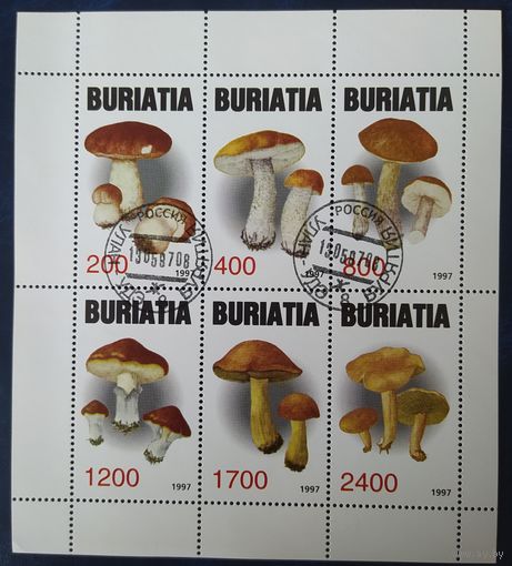 BURIATIA 1997 Грибы